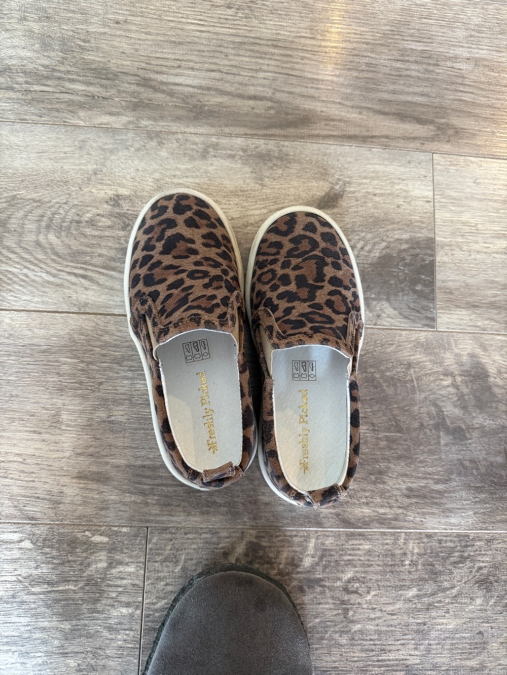 Freshly Picked Leopard Print Brown Slip-On Sneakers